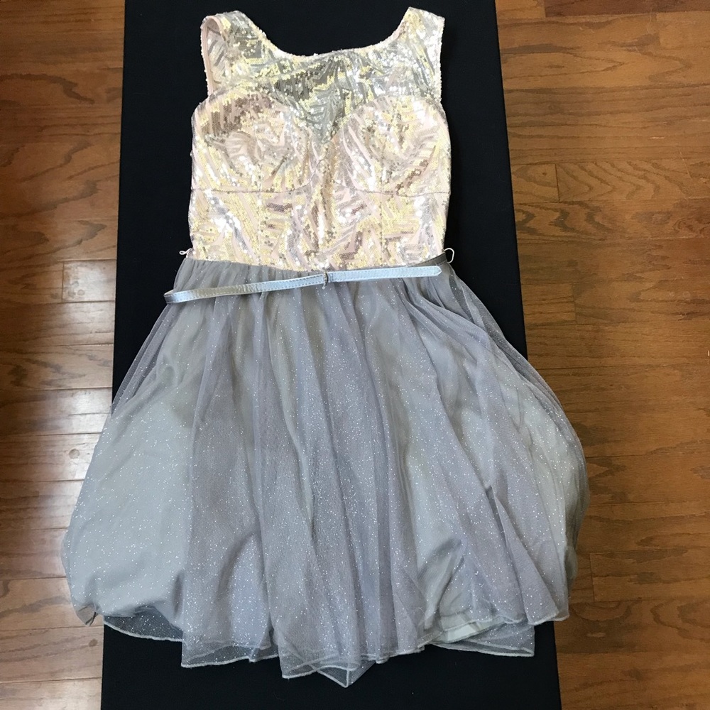 Silver full sequin dress.